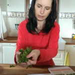 TerapieChutí: víte, jaký jedlý plevel vám roste na zahradě a co s ním v kuchyni?