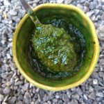 Jedlý plevel – pesto nebo chimmichurri