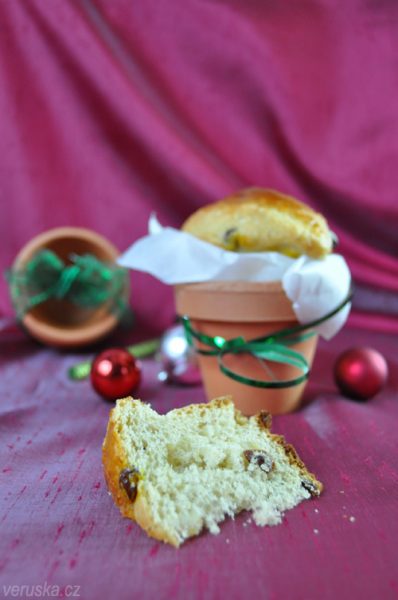 Panettone v květináči
