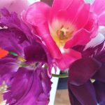 Salát z rajčat, fenyklu a cibulek tulipánů