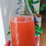 Kombucha s růží